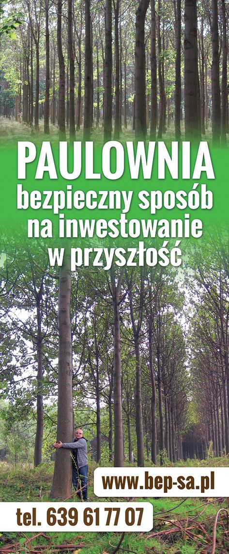 Paulownia